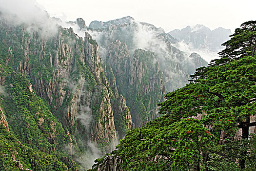 三座仑在线订购C1B8D97C5-18975